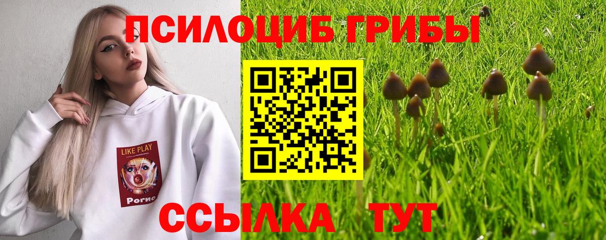 Псилоцибиновые грибы мухоморы  Галлюциногенные грибы Psilocybe  цены   Вход с VPN  Орск 